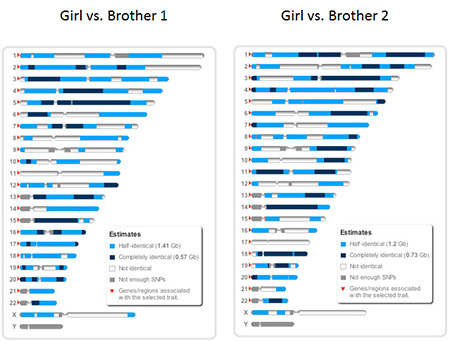 Sibling DNA comparison.