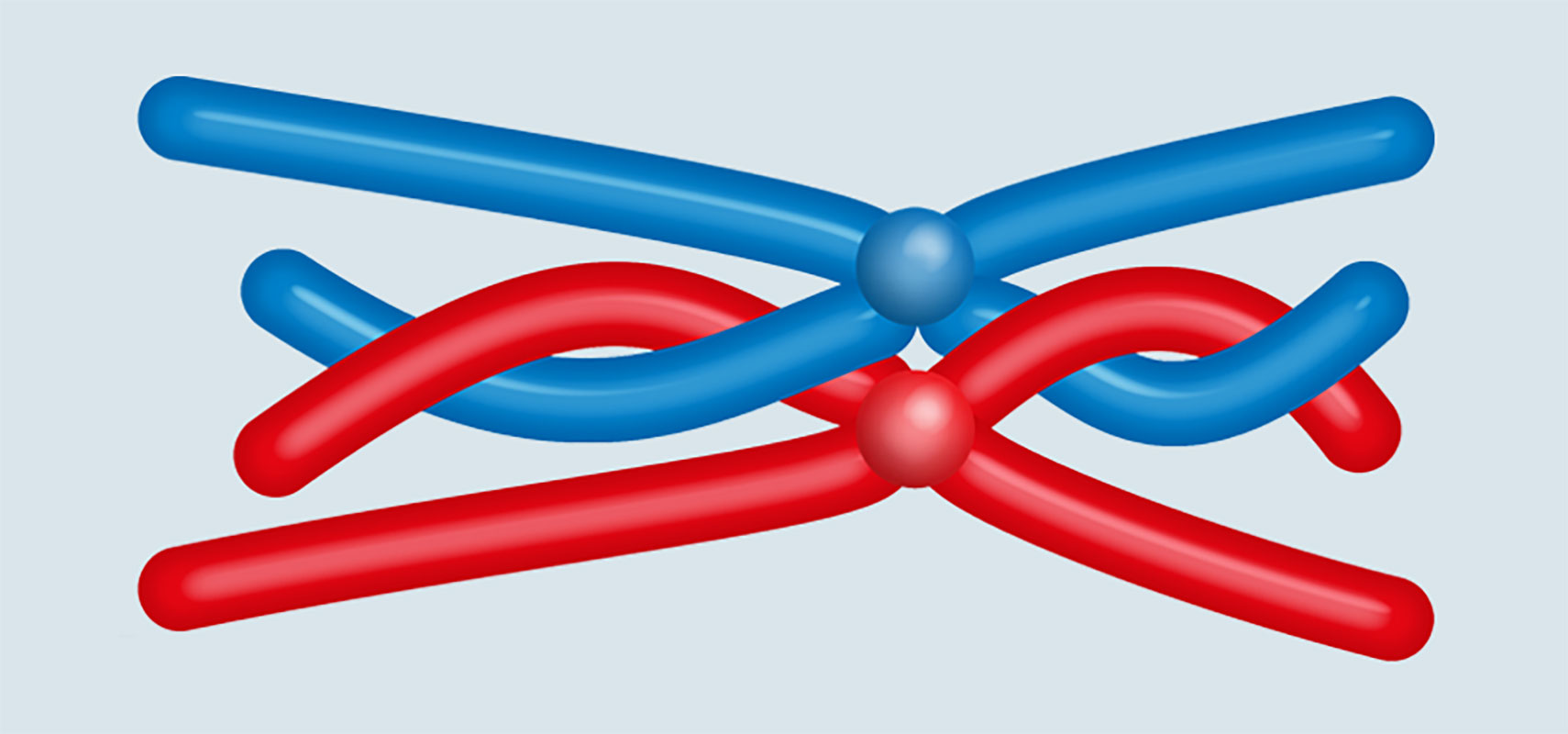 Crossing over diagram.