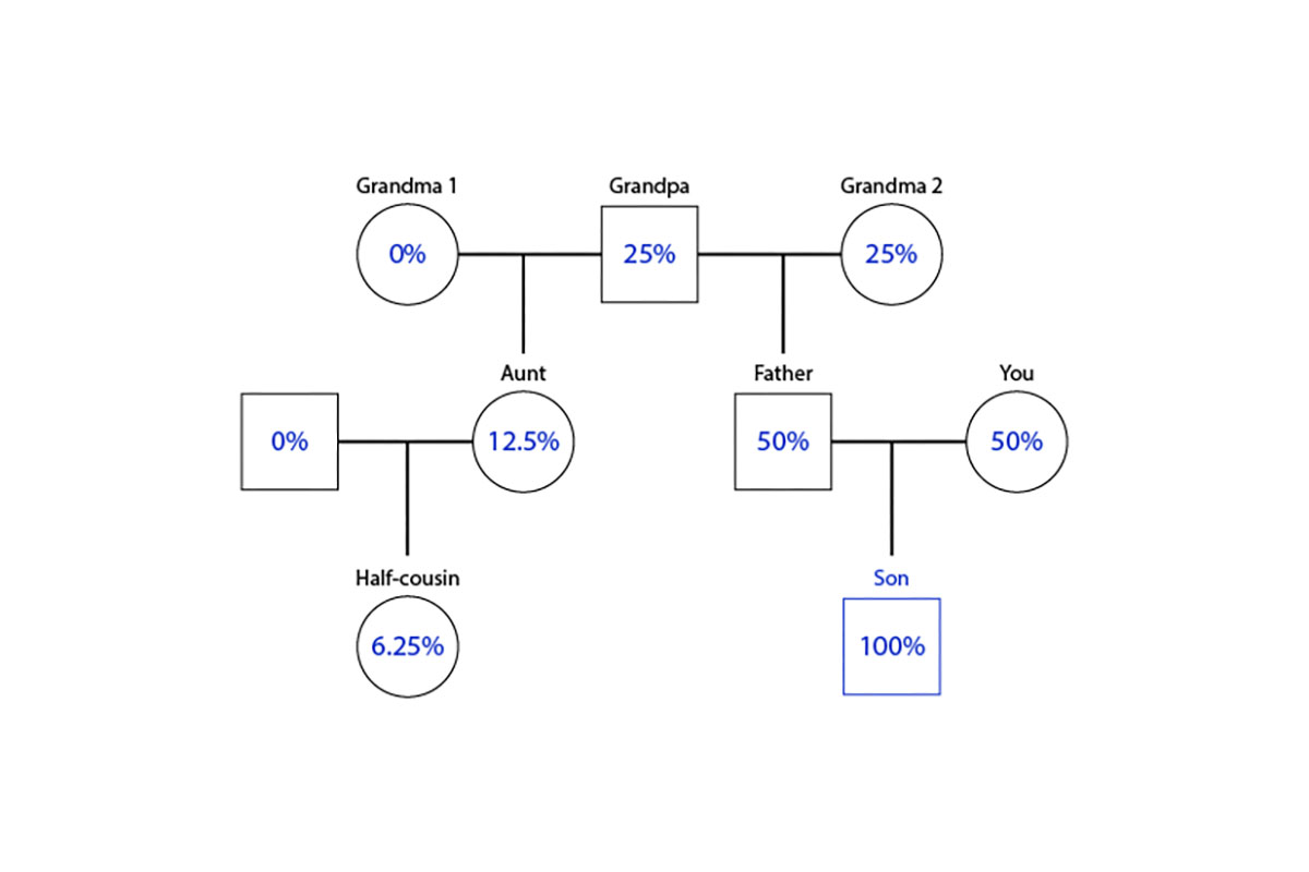 Family tree with half-cousins.