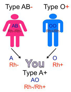 AB parent, O parent, and A child.