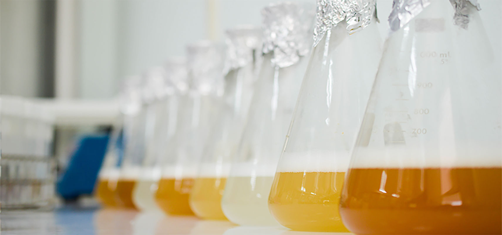 Bacterial culture flask difference.