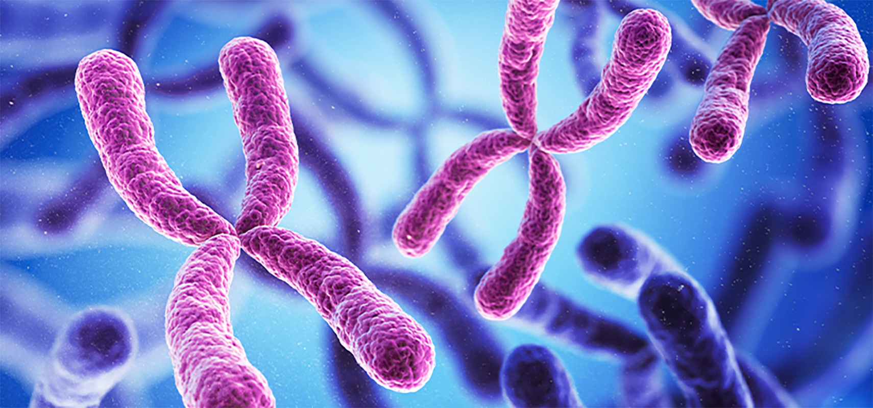 3D rendering chromosomes.