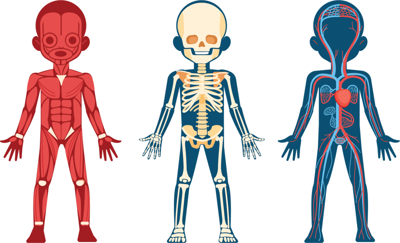 To Donate or Not to Donate