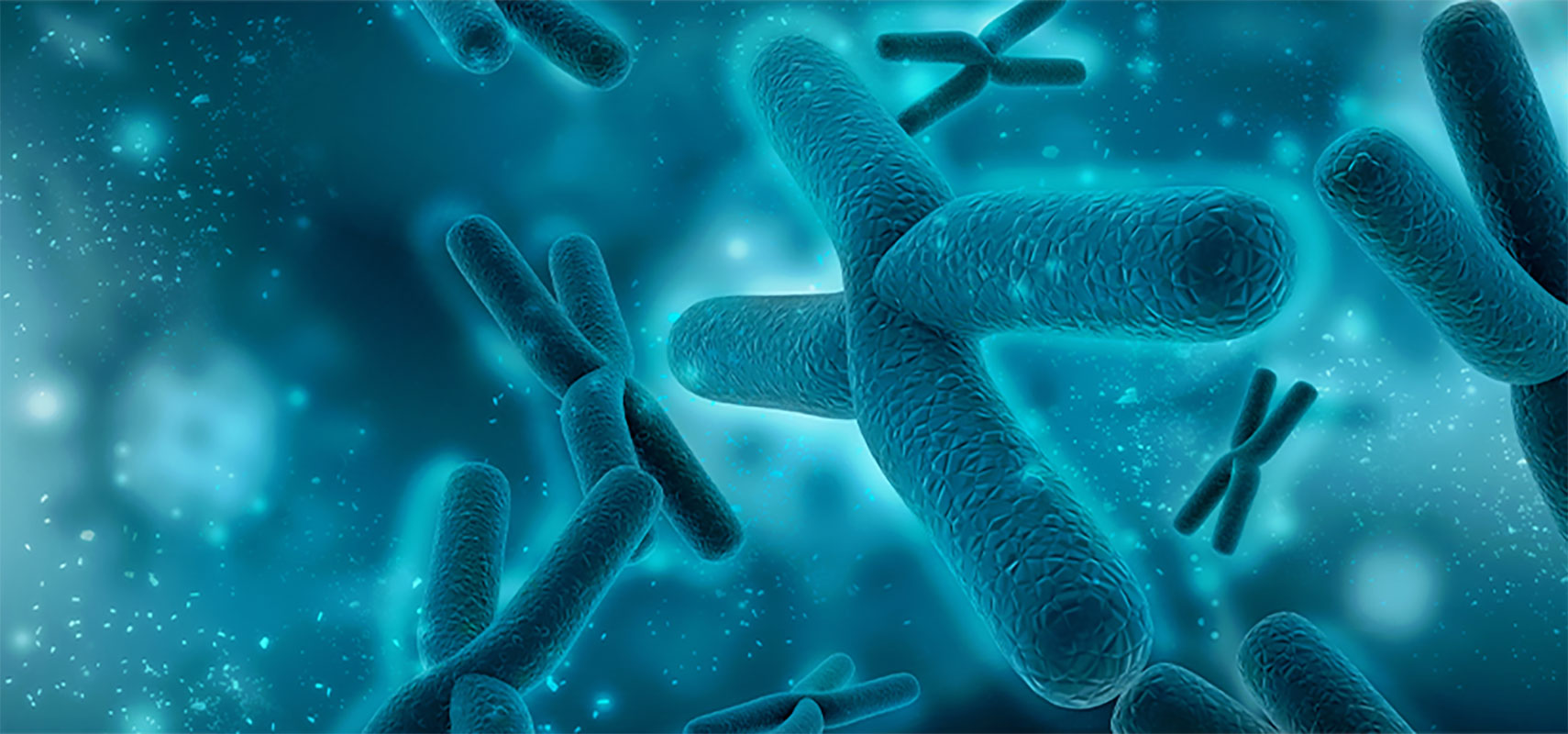 3D rendering chromosomes.