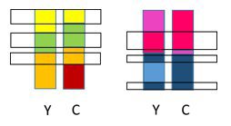 Chromosome inheritance.