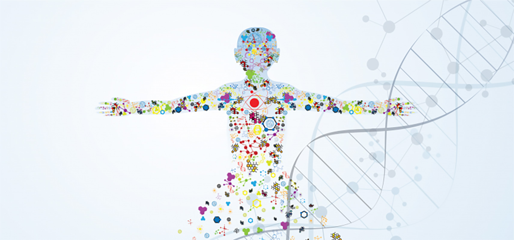 Artistic molecules in body.